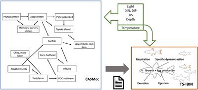 Applying a hybrid model to support management of the endangered Topeka shiner in oxbow habitats